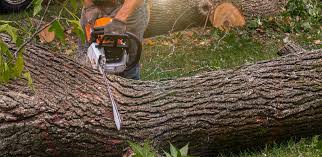 Landscape Design and Installation in Hillsborough, NJ